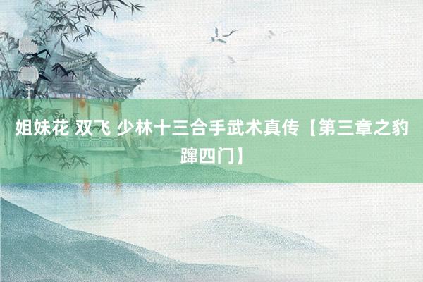 姐妹花 双飞 少林十三合手武术真传【第三章之豹蹿四门】