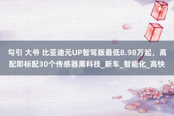 勾引 大爷 比亚迪元UP智驾版最低8.98万起，高配即标配30个传感器黑科技_新车_智能化_高快