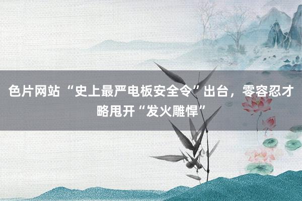 色片网站 “史上最严电板安全令”出台，零容忍才略甩开“发火雕悍”
