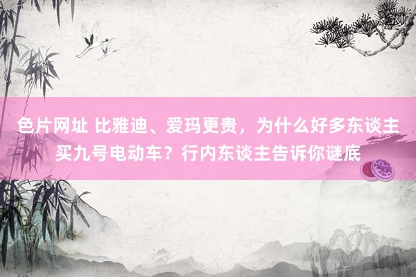 色片网址 比雅迪、爱玛更贵，为什么好多东谈主买九号电动车？行内东谈主告诉你谜底