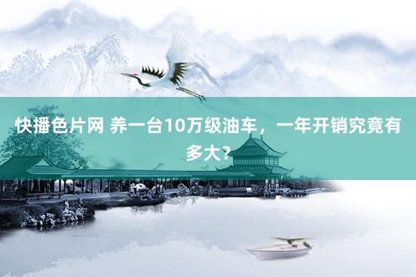 快播色片网 养一台10万级油车，一年开销究竟有多大？