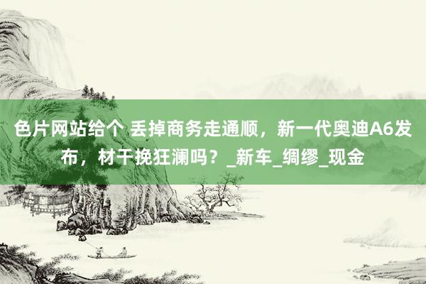 色片网站给个 丢掉商务走通顺，新一代奥迪A6发布，材干挽狂澜吗？_新车_绸缪_现金
