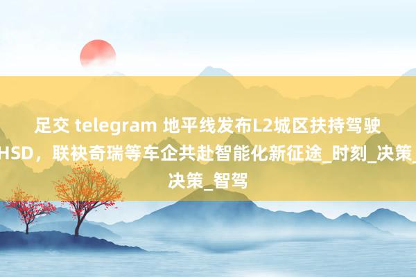 足交 telegram 地平线发布L2城区扶持驾驶系统HSD，联袂奇瑞等车企共赴智能化新征途_时刻_决策_智驾