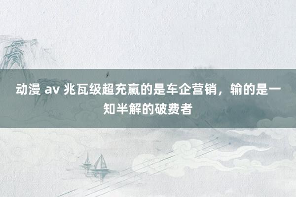 动漫 av 兆瓦级超充赢的是车企营销，输的是一知半解的破费者