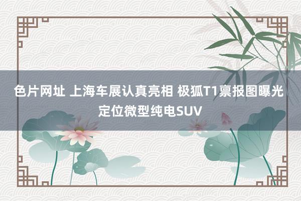 色片网址 上海车展认真亮相 极狐T1禀报图曝光 定位微型纯电SUV