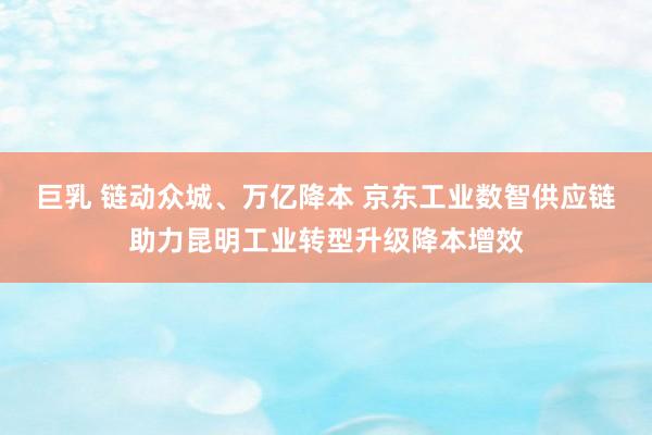 巨乳 链动众城、万亿降本 京东工业数智供应链助力昆明工业转型升级降本增效