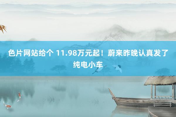 色片网站给个 11.98万元起！蔚来昨晚认真发了纯电小车