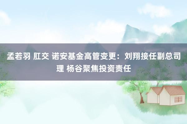 孟若羽 肛交 诺安基金高管变更：刘翔接任副总司理 杨谷聚焦投资责任