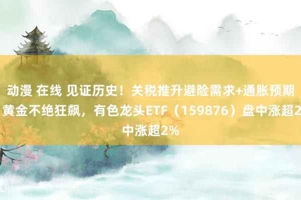 动漫 在线 见证历史！关税推升避险需求+通胀预期，黄金不绝狂飙，有色龙头ETF（159876）盘中涨超2%