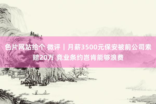 色片网站给个 微评｜月薪3500元保安被前公司索赔20万 竞业条约岂肯能够浪费