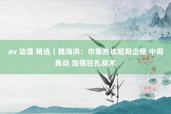 av 动漫 精选丨魏海洪：市集热枕短期企稳 中期轰动 加强驻扎战术