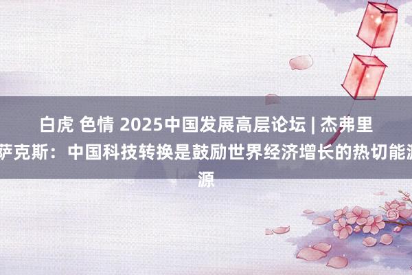 白虎 色情 2025中国发展高层论坛 | 杰弗里·萨克斯：中国科技转换是鼓励世界经济增长的热切能源