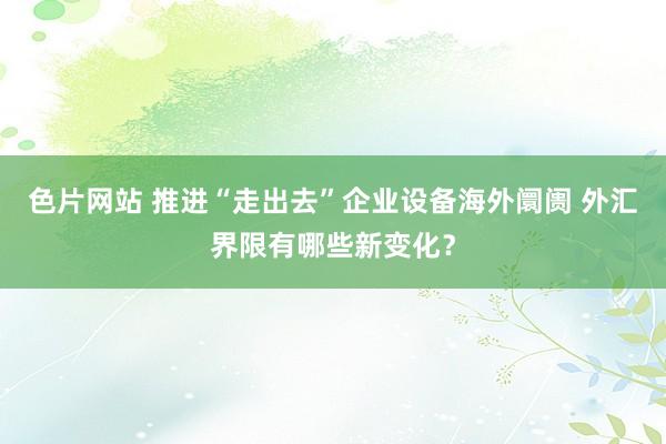 色片网站 推进“走出去”企业设备海外阛阓 外汇界限有哪些新变化？