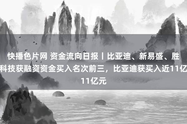 快播色片网 资金流向日报丨比亚迪、新易盛、胜宏科技获融资资金买入名次前三，比亚迪获买入近11亿元