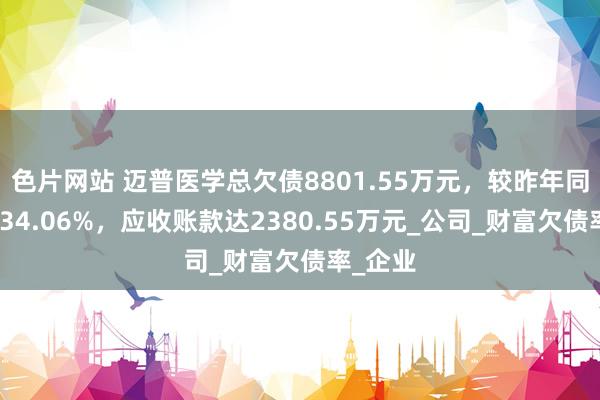色片网站 迈普医学总欠债8801.55万元，较昨年同期减少34.06%，应收账款达2380.55万元_公司_财富欠债率_企业