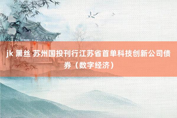 jk 黑丝 苏州国投刊行江苏省首单科技创新公司债券（数字经济）