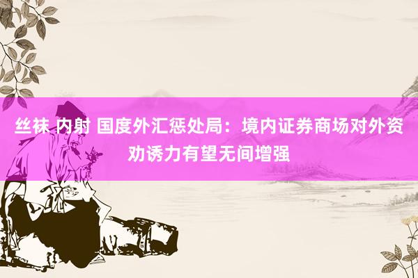丝袜 内射 国度外汇惩处局：境内证券商场对外资劝诱力有望无间增强