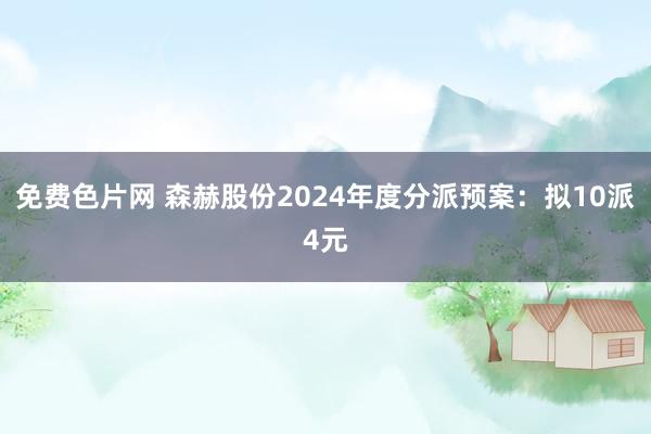 免费色片网 森赫股份2024年度分派预案：拟10派4元