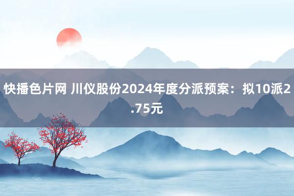 快播色片网 川仪股份2024年度分派预案：拟10派2.75元