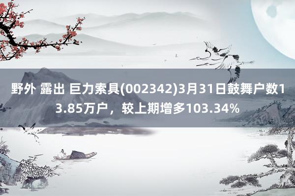 野外 露出 巨力索具(002342)3月31日鼓舞户数13.85万户，较上期增多103.34%