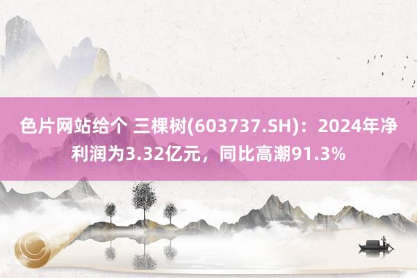色片网站给个 三棵树(603737.SH)：2024年净利润为3.32亿元，同比高潮91.3%