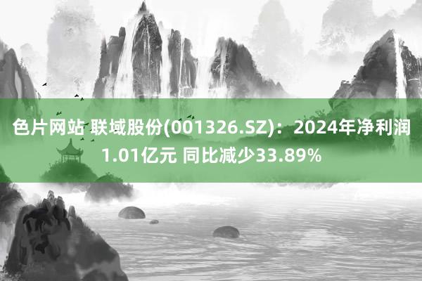 色片网站 联域股份(001326.SZ)：2024年净利润1.01亿元 同比减少33.89%